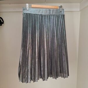Metro Wear Shiny Pleated A-Line Skirt